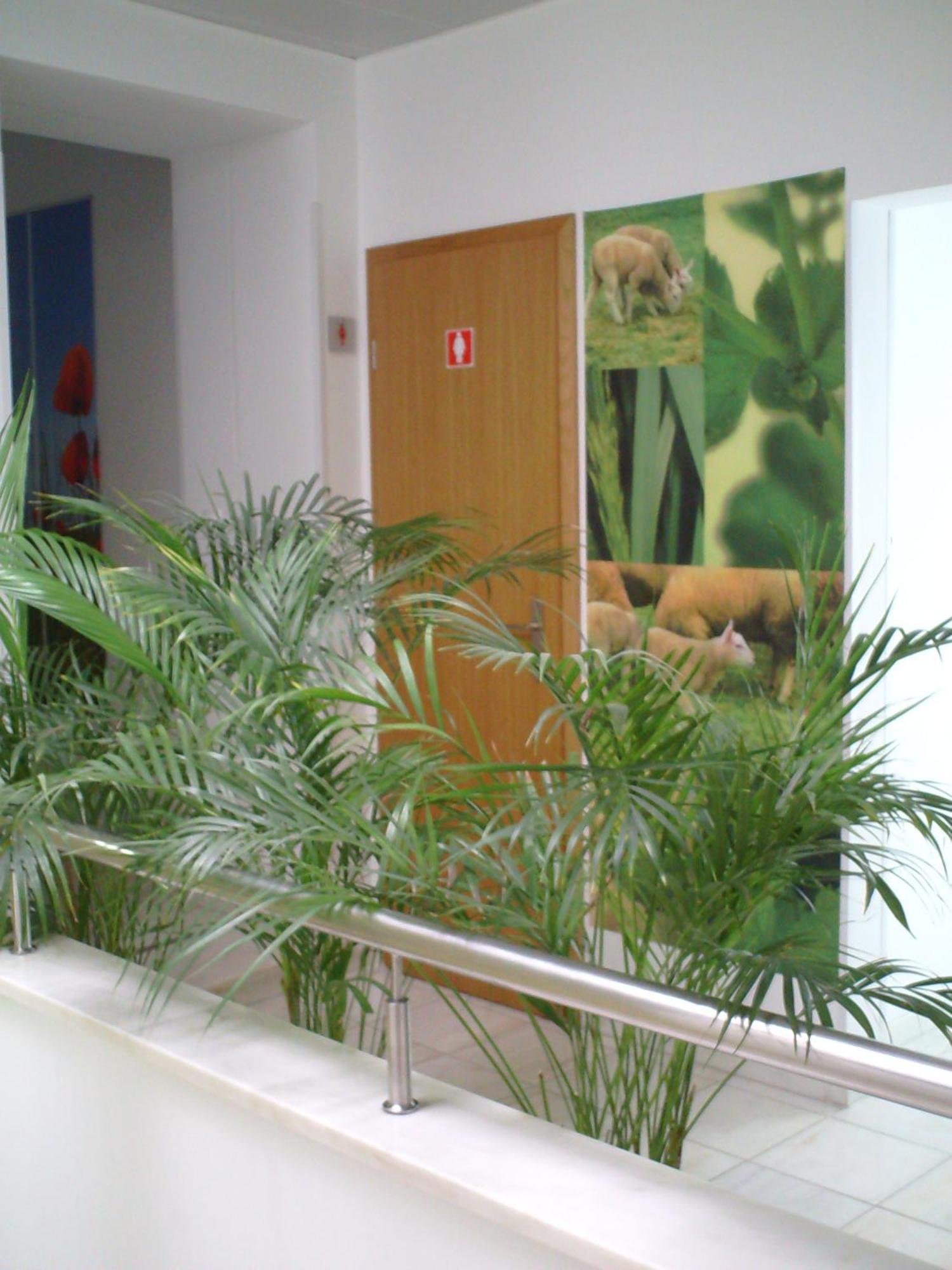 Hotel Serafim Almodovar Bagian luar foto